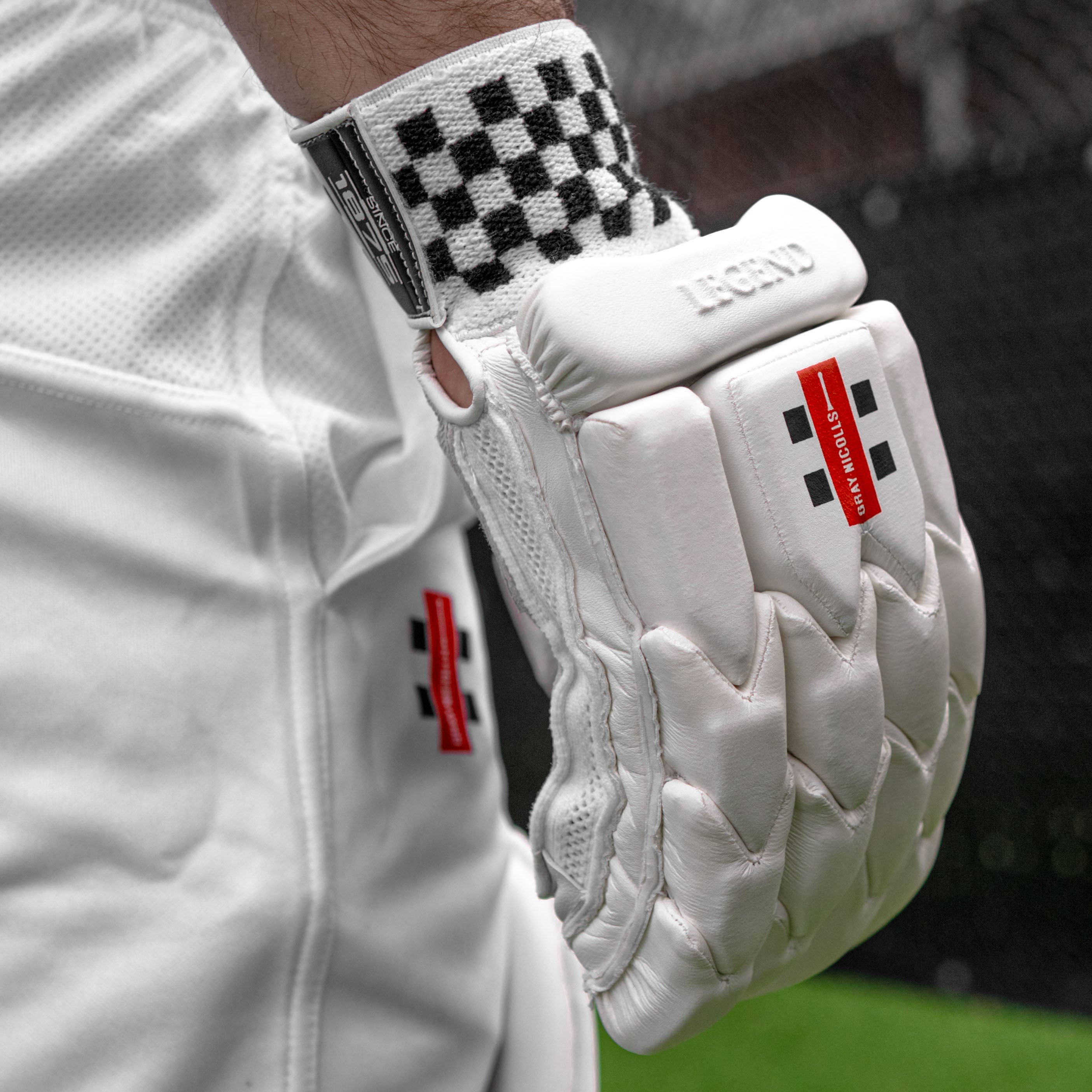 Legend Batting Gloves