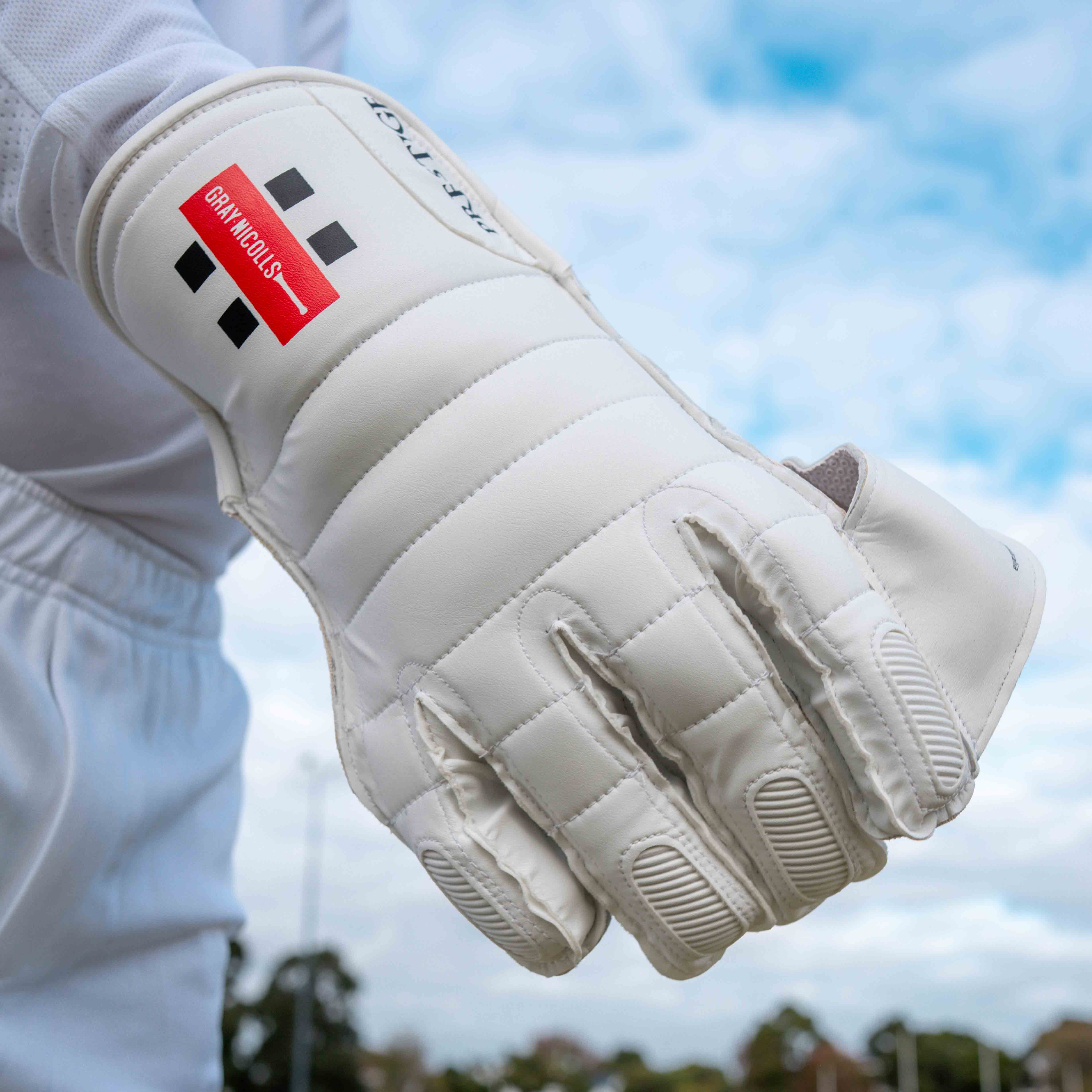 Prestige Wicket Keeping Gloves