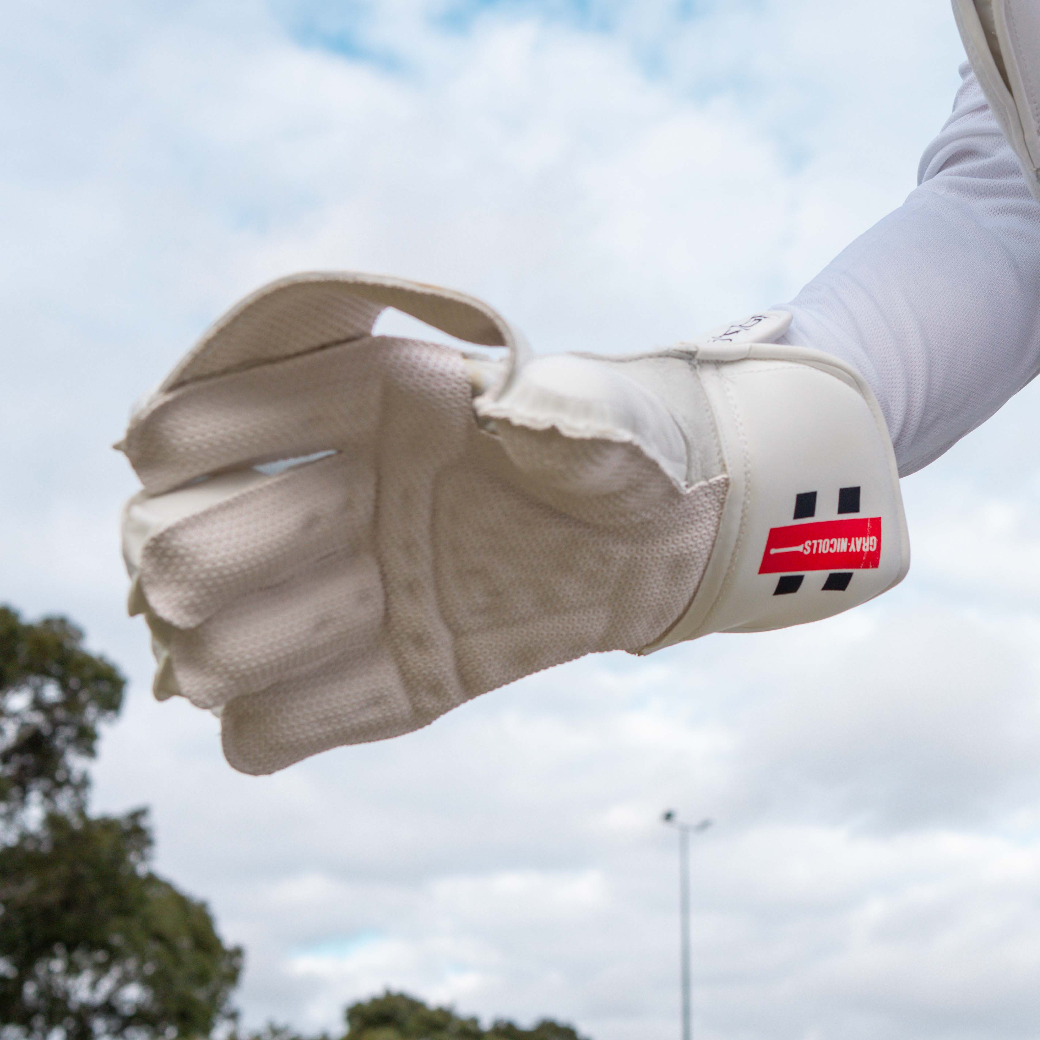 Prestige Wicket Keeping Gloves