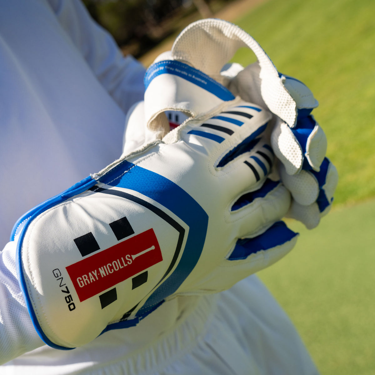 GN 750 Wicket Keeping Gloves