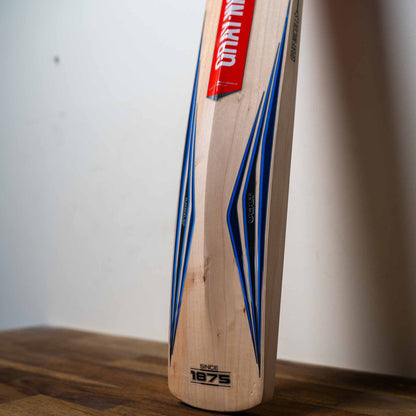 Volt 600 Bat (Natural)