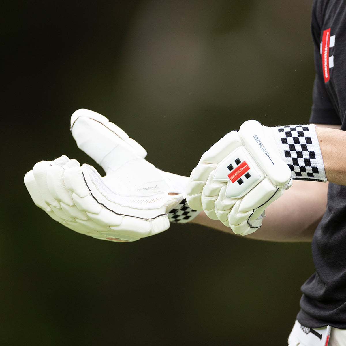 Legend Batting Gloves